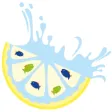 Innovimentor Innovimentor