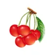 Cherry Valley Marketplace