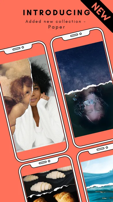 PCTRSQ - Insta Story Templates Ekran Görüntüleri