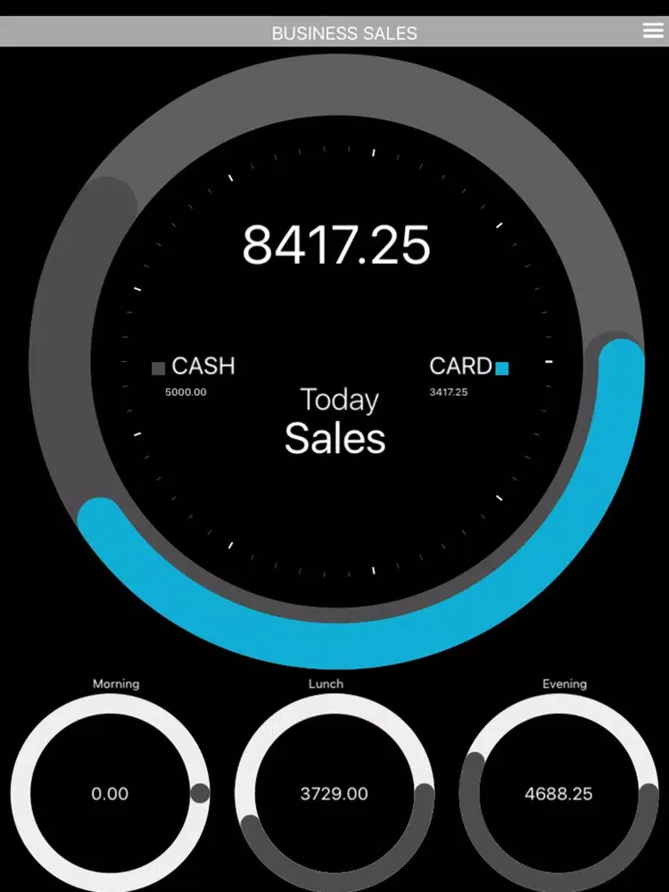 Business Snapshot iPad  스크린샷