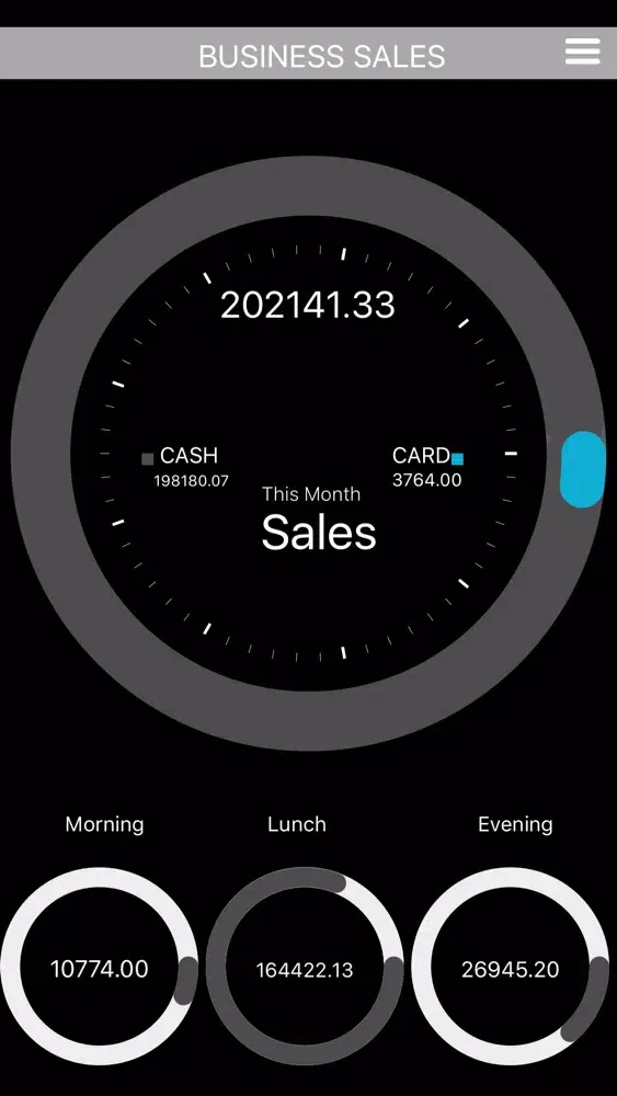 Business Snapshot 스크린샷