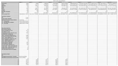 DCF Valuation Tool Screenshots