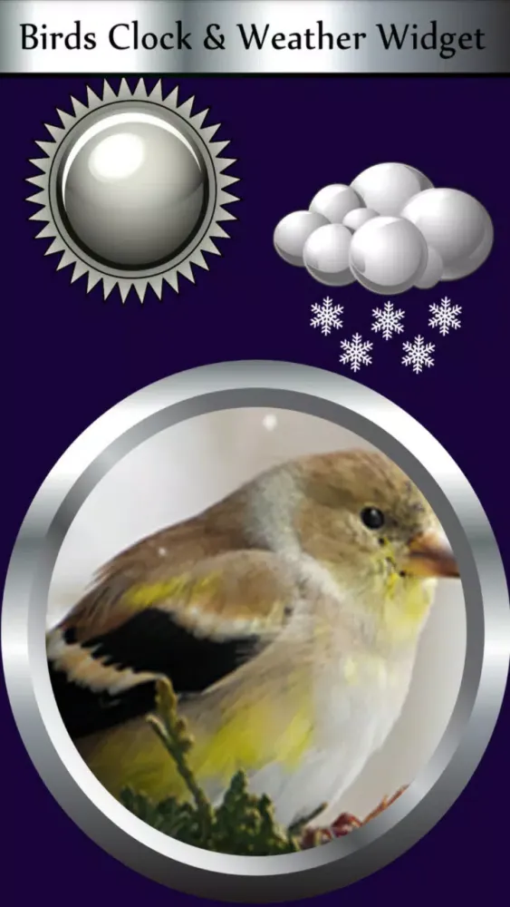Скриншоты Birds Clock & Weather Widget