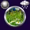 Spring Weather & Clock Widget