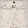Complete Dynamics Amateur