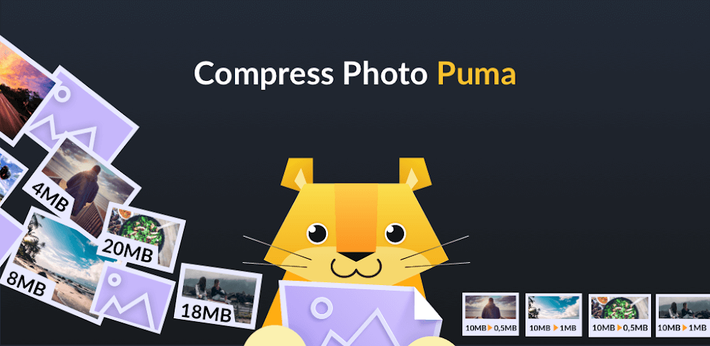 Compress Photo Puma