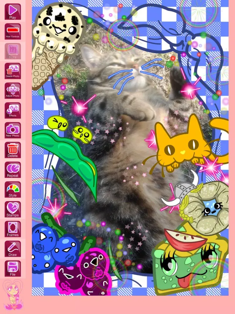 Punykura - kawaii purikura (cute Japanese photo sticker deco) & Animated GIF maker Lite iPad  Screenshots