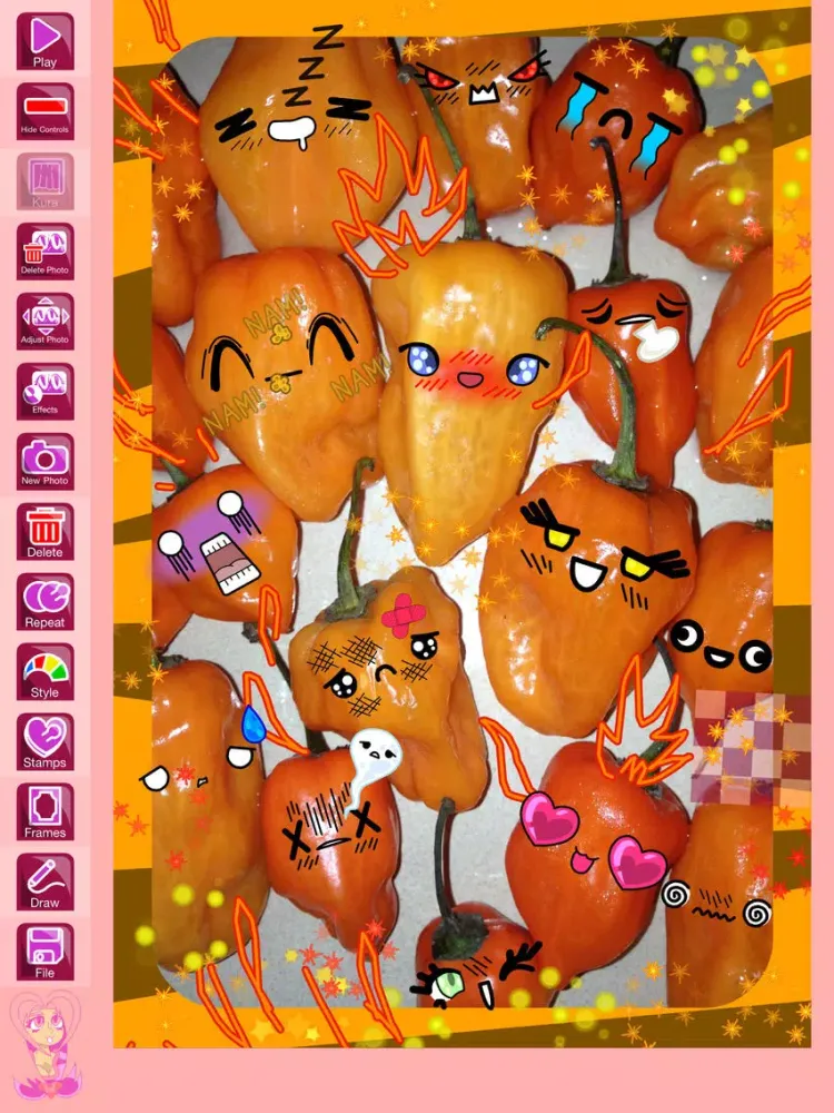 Punykura - kawaii purikura (cute Japanese photo sticker deco) & Animated GIF maker Lite iPad  Screenshots