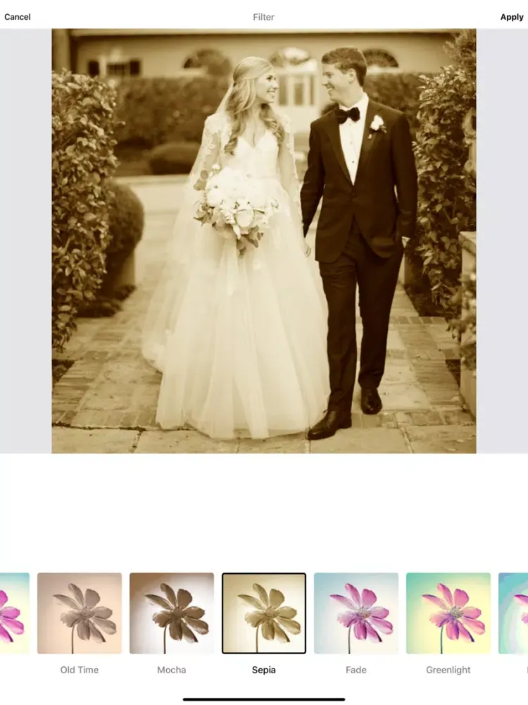 تصاویر Gifitize - Photo animation app iPad 