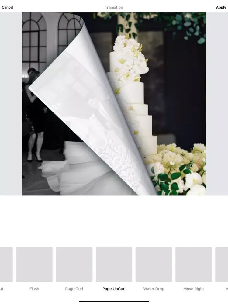 تصاویر Gifitize - Photo animation app iPad 