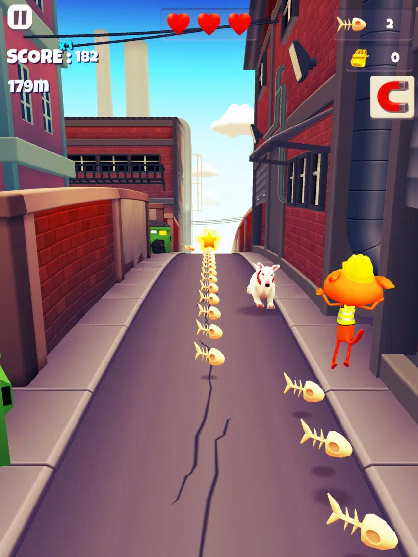 Super Surfers Pets: Run game iPad 应用截图