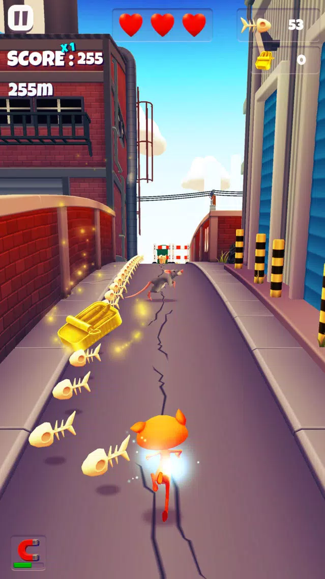 Super Surfers Pets: Run game应用截图