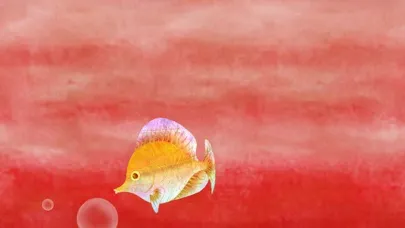 Скриншоты Marea de colores