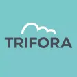 Trifora Health Racket Wellness