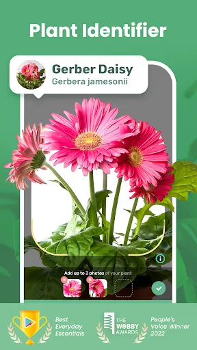 Capturas de tela do Blossom - Plant Identifier
