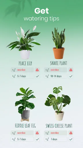 Capturas de tela do Blossom - Plant Identifier