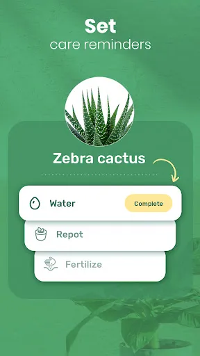 Capturas de tela do Blossom - Plant Identifier