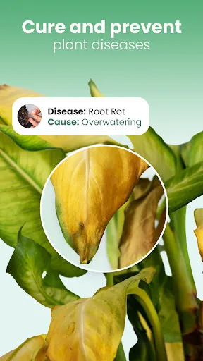 Capturas de tela do Blossom - Plant Identifier