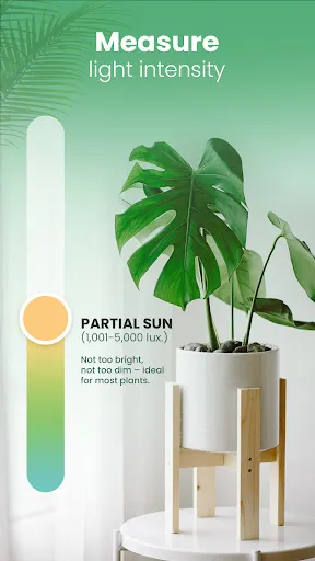Capturas de tela do Blossom - Plant Identifier