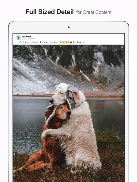 MultiTab for Twitter iPad  Ekran Görüntüleri
