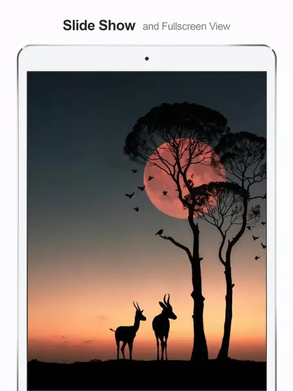 MultiTab for Twitter iPad  Ekran Görüntüleri