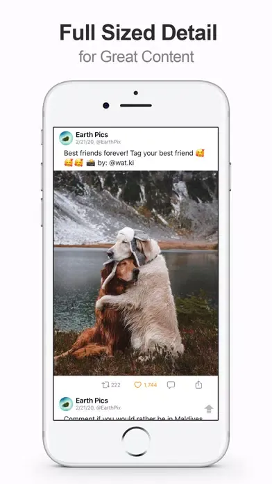 MultiTab for Twitter Ekran Görüntüleri
