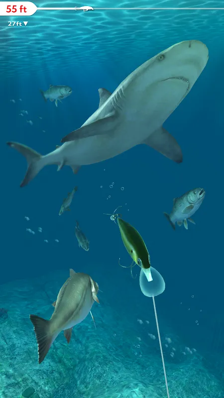 صور Rapala Fishing