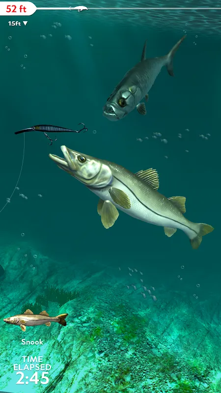 صور Rapala Fishing