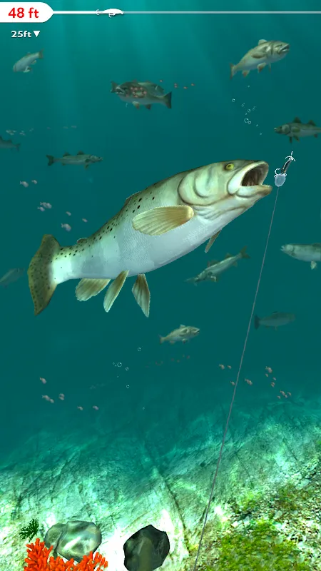 صور Rapala Fishing