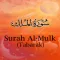 AlMulk - The Sovereignty