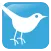 Minnesota Birding News