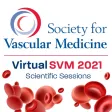 SVM 2021