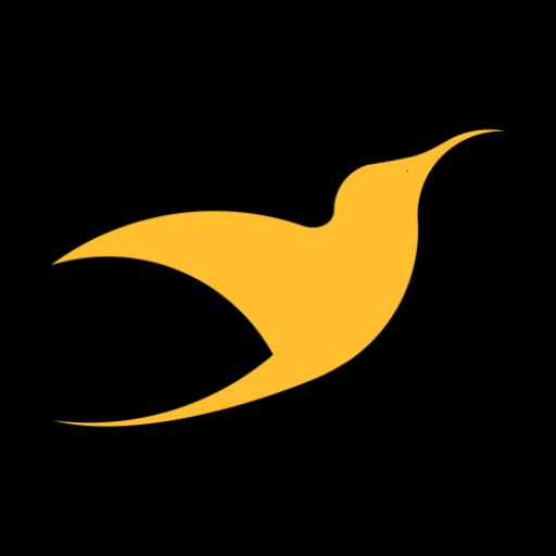 City Bird Rides Driver