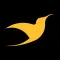 City Bird Rides Driver