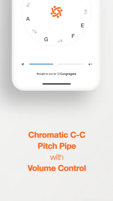 Capturas de tela do Pitch Pipe by Congregate