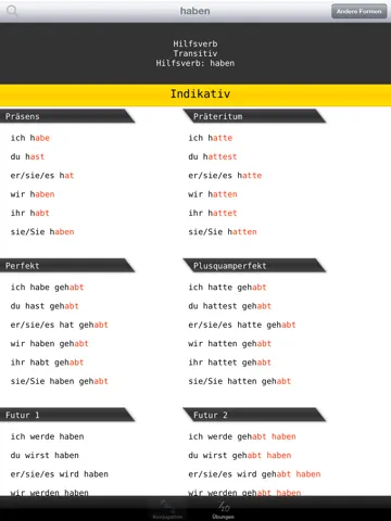 German Verbs Conjugation iPad  스크린샷