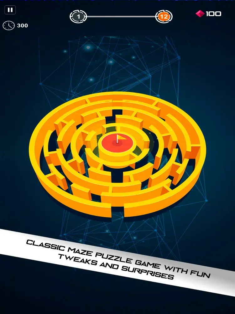 Maze ball: slido roll the ball iPad  스크린샷