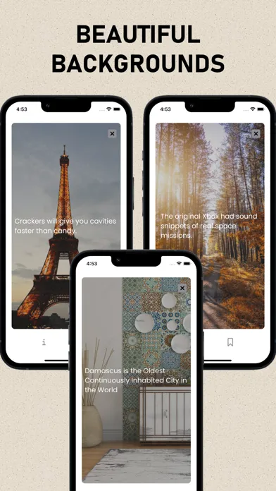 Daily Random Facts, Cool Facts Screenshots