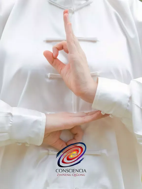 ภาพหน้าจอของ Consciencia ZhiNeng QiGong iPad 