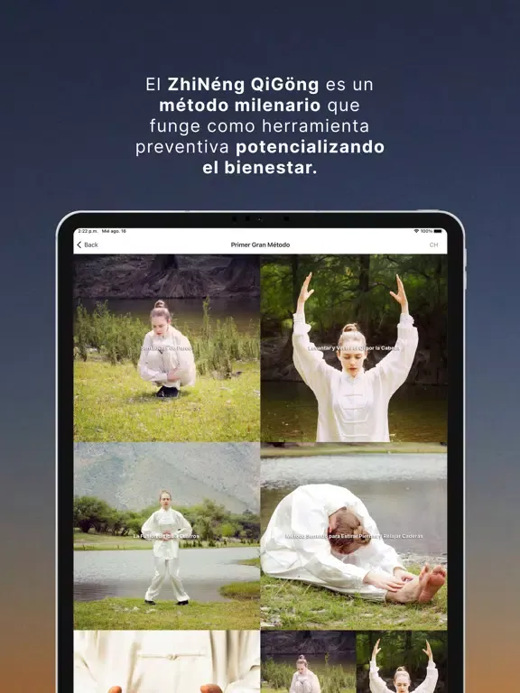 ภาพหน้าจอของ Consciencia ZhiNeng QiGong iPad 