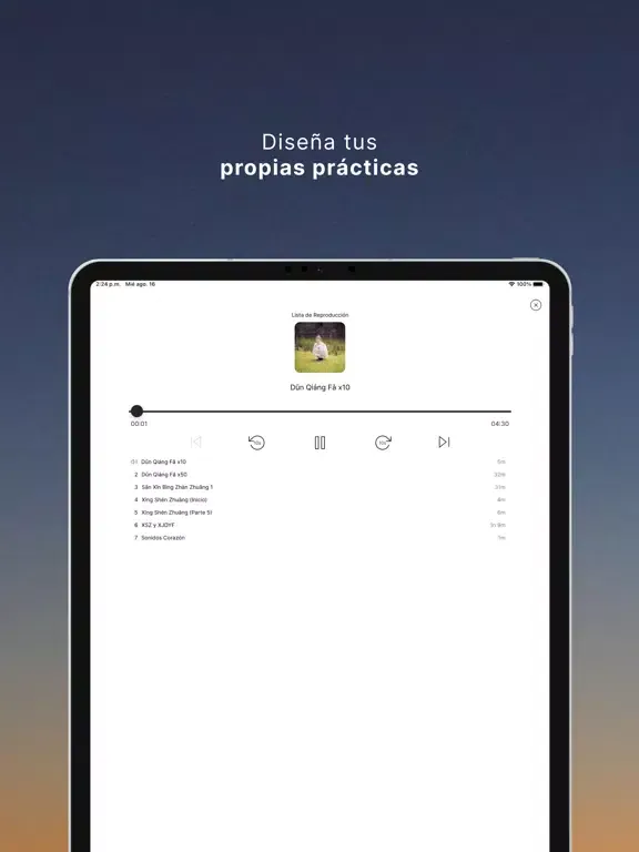 ภาพหน้าจอของ Consciencia ZhiNeng QiGong iPad 