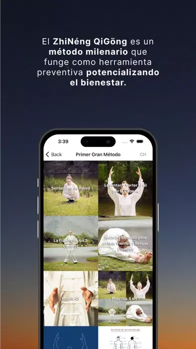 ภาพหน้าจอของ Consciencia ZhiNeng QiGong