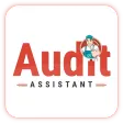 Audit Assistant - inspection