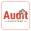 Audit Assistant - inspection