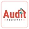 Audit Assistant - inspection