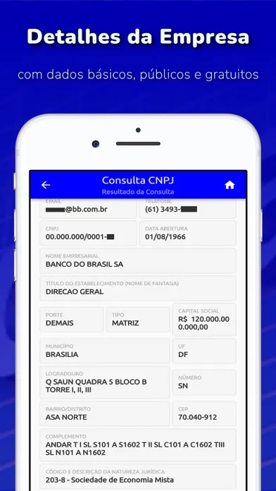 Consulta CNPJ - MEI, ME, EPP应用截图