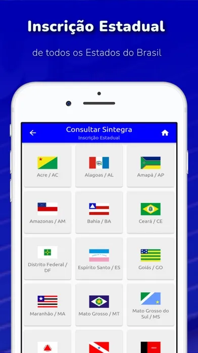 Consulta CNPJ - MEI, ME, EPP应用截图