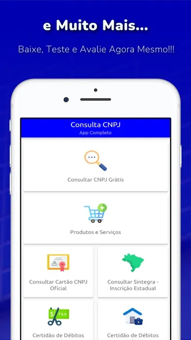 Consulta CNPJ - MEI, ME, EPP应用截图