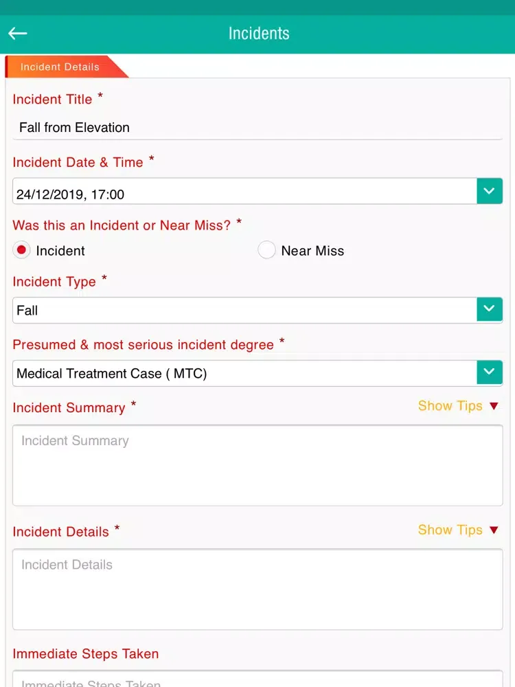 DSS Incident Management System iPad  Screenshots
