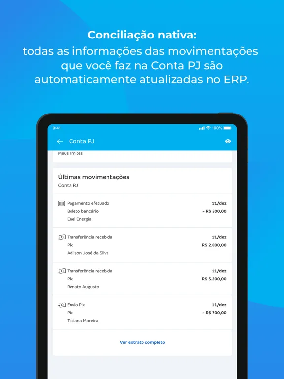 Conta Azul de Bolso iPad  スクリーンショット